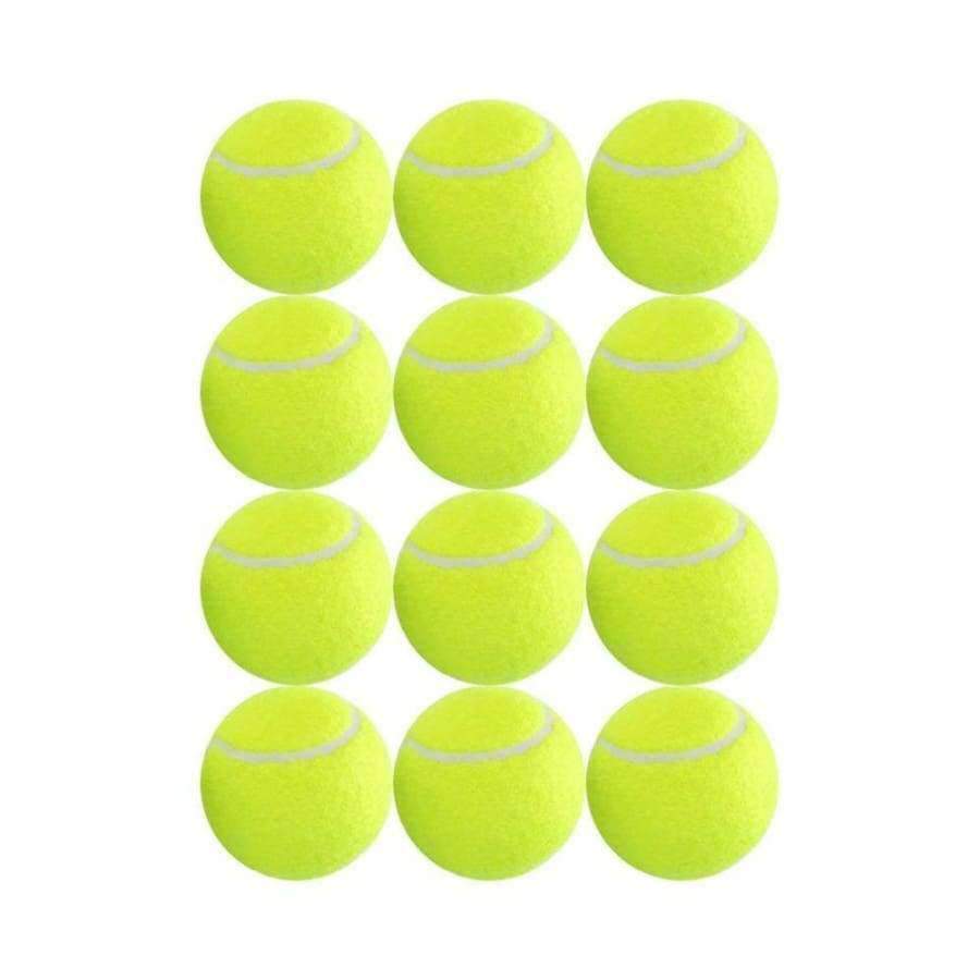 Planet Gates 12 Pack Tennis Balls Training Yellow Tennis Balls For Lessons Practice,Playing With Pets Tennis Accessories Carrying Bag