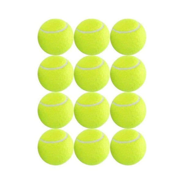Planet Gates 12 Pack Tennis Balls Training Yellow Tennis Balls For Lessons Practice,Playing With Pets Tennis Accessories Carrying Bag