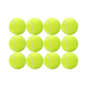 Planet Gates 12 Pack Tennis Balls Training Yellow Tennis Balls For Lessons Practice,Playing With Pets Tennis Accessories Carrying Bag