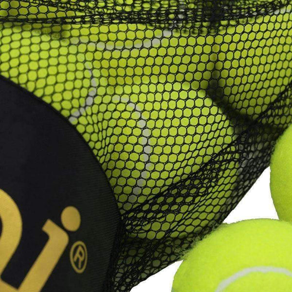 Planet Gates 12 Pack Tennis Balls Training Yellow Tennis Balls For Lessons Practice,Playing With Pets Tennis Accessories Carrying Bag
