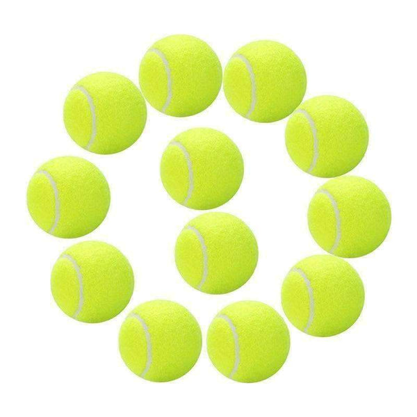 Planet Gates 12 Pack Tennis Balls Training Yellow Tennis Balls For Lessons Practice,Playing With Pets Tennis Accessories Carrying Bag