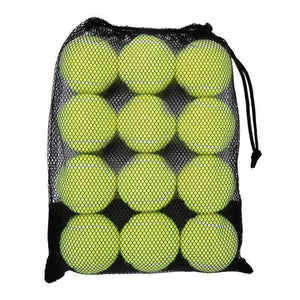 Planet Gates 12 Pack Tennis Balls Training Yellow Tennis Balls For Lessons Practice,Playing With Pets Tennis Accessories Carrying Bag