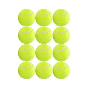 Planet Gates 12 Pack Tennis Balls Training Yellow Tennis Balls For Lessons Practice,Playing With Pets Tennis Accessories Carrying Bag