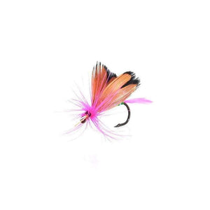 Planet Gates 12pcs Dry Flies Fly Fishing flies Kit Bass Salmon Trouts Flies Floating Fishing Lures Fishing Bait