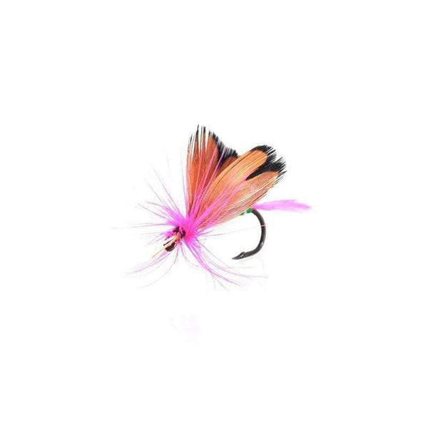 Planet Gates 12pcs Dry Flies Fly Fishing flies Kit Bass Salmon Trouts Flies Floating Fishing Lures Fishing Bait