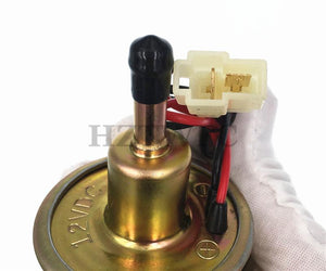 Planet Gates 12V Electric Fuel Pump Low Pressure Bolt Fixing Wire Universal Diesel Petrol Gasoline HEP-02A For Car Carburetor Motorcycle ATV