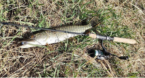 Planet Gates 162g Ultralight Spinning Fishing Reel Kingfisher 800 1000 1500S 1500 Profession Bait Finesse System Trout Ajing Wheel