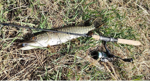 Planet Gates 162g Ultralight Spinning Fishing Reel Kingfisher 800 1000 1500S 1500 Profession Bait Finesse System Trout Ajing Wheel