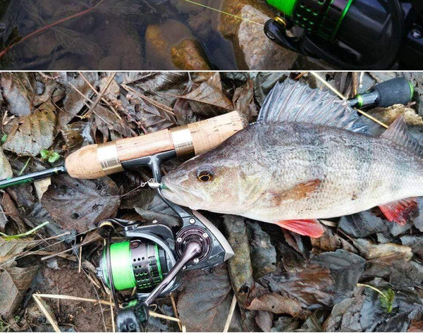 Planet Gates 162g Ultralight Spinning Fishing Reel Kingfisher 800 1000 1500S 1500 Profession Bait Finesse System Trout Ajing Wheel