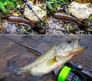 Planet Gates 162g Ultralight Spinning Fishing Reel Kingfisher 800 1000 1500S 1500 Profession Bait Finesse System Trout Ajing Wheel