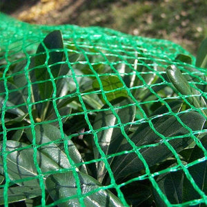 Planet Gates 1mx10m Poultry Animal Fence Netting Fruit Tree Protection Net Garden Anti Bird Net