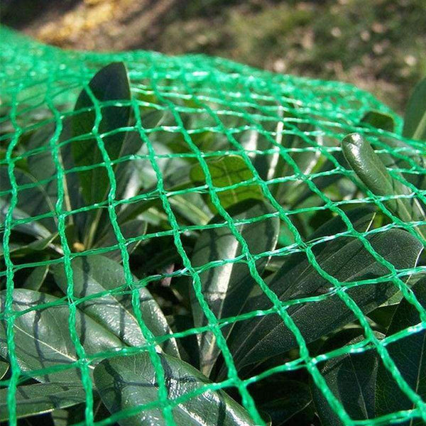 Planet Gates 1mx10m Poultry Animal Fence Netting Fruit Tree Protection Net Garden Anti Bird Net
