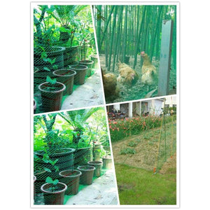 Planet Gates 1mx10m Poultry Animal Fence Netting Fruit Tree Protection Net Garden Anti Bird Net