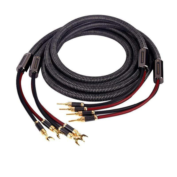 Planet Gates 1pair AUDIOMECA hifi speaker cable OFC pure copper audio connecting cable