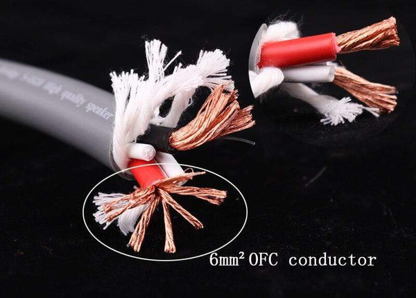 Planet Gates 1pair AUDIOMECA hifi speaker cable OFC pure copper audio connecting cable