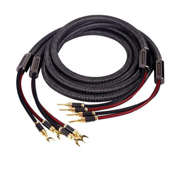 Planet Gates 1pair AUDIOMECA hifi speaker cable OFC pure copper audio connecting cable
