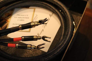 Planet Gates 1pair AUDIOMECA hifi speaker cable OFC pure copper audio connecting cable