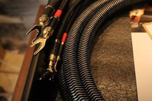 Planet Gates 1pair AUDIOMECA hifi speaker cable OFC pure copper audio connecting cable