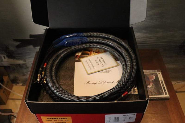 Planet Gates 1pair AUDIOMECA hifi speaker cable OFC pure copper audio connecting cable