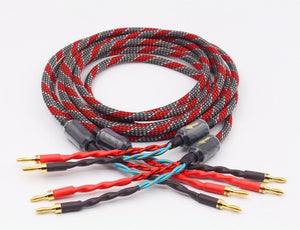 Planet Gates 1Pair oxygen-free copper audio speaker cable HI-FI high-end amplifier speaker cable Banana plug cable