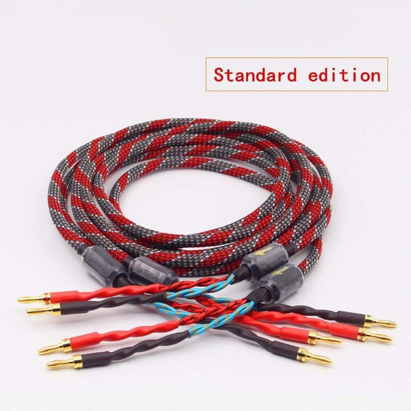 Planet Gates 1Pair oxygen-free copper audio speaker cable HI-FI high-end amplifier speaker cable Banana plug cable