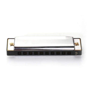 Planet Gates 1pc Silver Swan Harmonica 10 Hole Key of C Mouth Organ for Blues Rock Jazz Folk Harmonicas with Packaging Box