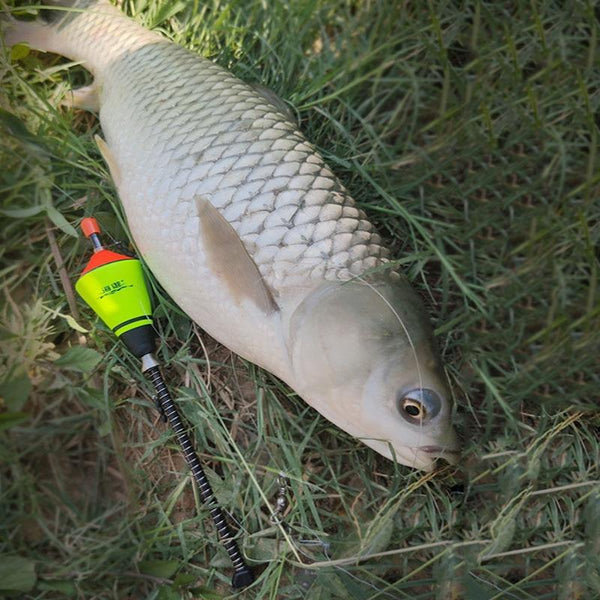 Planet Gates 1Pcs Portable Automatic illuminate Carp Fishing Float Fishing Accessories Fast Fishing Artifact Fishing Float Device Hot
