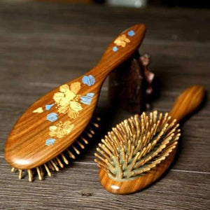 Planet Gates 2 1pc black Natural Sandalwood Wood Brush Healthy Care Massage Hair Combs Antistatic Detangling Airbag Hairbrush Hair Styling Tool