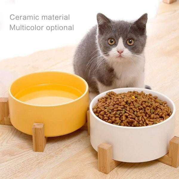 Planet Gates 200003694 Ceramic Double Cat Bowl Dog Bowl Pet Feeding Water Bowl Cat Puppy Feeder Product Supplies Pet Food And Water Bowls For Dogs
