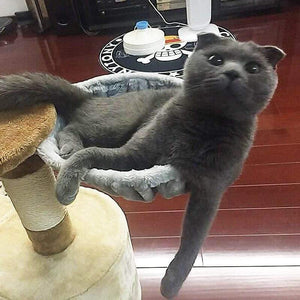 Planet Gates 200003700 Soft Cat Hammock Install On Cat Tree Cat Sleeping Kennel Hanging Thick Plush 4Colors Big Capacity Dia 30cm/35cm Pet Bed Big Cat