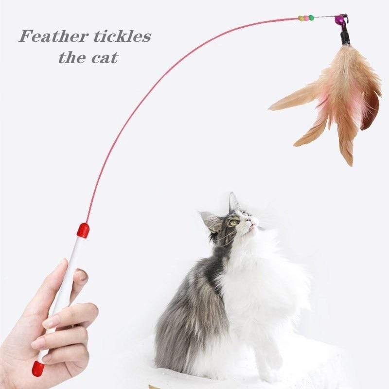 Planet Gates 200003701 Classic Cat Toys Pet Interactive Play Kitten Interesting  Steel Wire Feather Tease Cat Stick Funny Supplies Product Toy For Cats