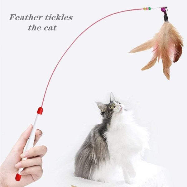 Planet Gates 200003701 Classic Cat Toys Pet Interactive Play Kitten Interesting  Steel Wire Feather Tease Cat Stick Funny Supplies Product Toy For Cats