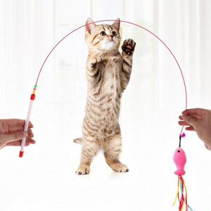 Planet Gates 200003701 Classic Cat Toys Pet Interactive Play Kitten Interesting  Steel Wire Feather Tease Cat Stick Funny Supplies Product Toy For Cats