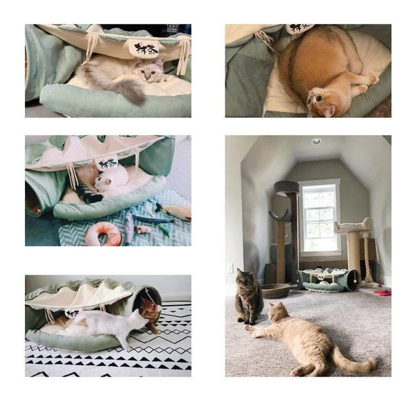 Planet Gates 200003701 Pet Cats Tunnel Interactive Play Toy Mobile Collapsible Ferrets Rabbit Bed Tunnels Indoor Toys Kitten Exercising Products