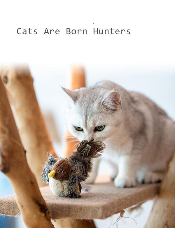Planet Gates 200003701 Simulation Bird Mouse Pet Cat Toy Kitten Interactive Training Scratching Toy Feather Talking Playing Claw Product For Cats