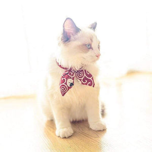 Planet Gates 200003709 Cat Collar Bow Bowtie Cat Collar For Cats And Small Dogs Accessories Cat-Collar Kitten Pet Products Chihuahua Bow Tie Necklace