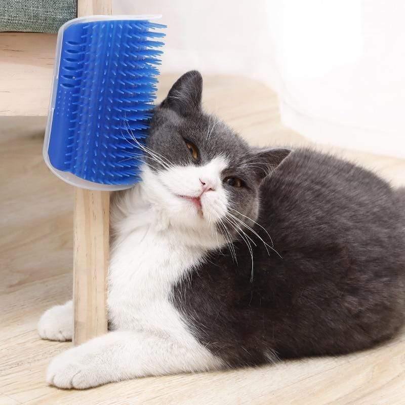 Planet Gates 200003710 Pet Products For Cats Brush Corner Cat Massage Self Groomer Comb Brush With Catnip Cat Rubs The Face With A Tickling Comb