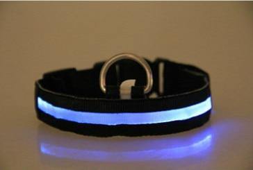 Planet Gates 200003720 7 Color Light / S  NECK 35-43 CM LED Dog Collar With USB Charging Colorful Lights Safe Anti-Lost Collars For Puppy Kitten Dogs Lead Collars 7 Lights Pet Products