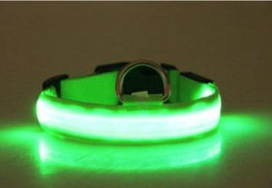 Planet Gates 200003720 Green Light / S  NECK 35-43 CM LED Dog Collar With USB Charging Colorful Lights Safe Anti-Lost Collars For Puppy Kitten Dogs Lead Collars 7 Lights Pet Products