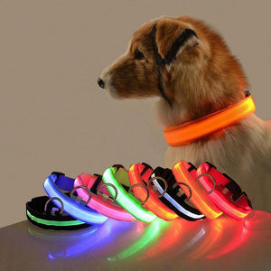 Planet Gates 200003720 LED Dog Collar With USB Charging Colorful Lights Safe Anti-Lost Collars For Puppy Kitten Dogs Lead Collars 7 Lights Pet Products