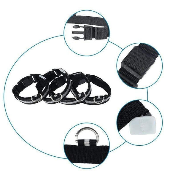 Planet Gates 200003720 LED Dog Collar With USB Charging Colorful Lights Safe Anti-Lost Collars For Puppy Kitten Dogs Lead Collars 7 Lights Pet Products