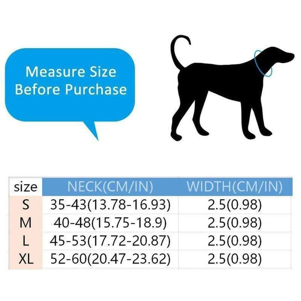 Planet Gates 200003720 LED Dog Collar With USB Charging Colorful Lights Safe Anti-Lost Collars For Puppy Kitten Dogs Lead Collars 7 Lights Pet Products