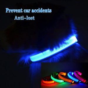 Planet Gates 200003720 Pet Collar LED Light Dog Collar Night Safety Anti-lost Car Accident Avoid Flash Pet Necklace Black Collar Cat And Dog Luminous