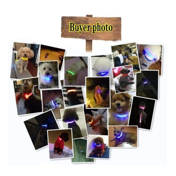 Planet Gates 200003720 Pet Collar LED Light Dog Collar Night Safety Anti-lost Car Accident Avoid Flash Pet Necklace Black Collar Cat And Dog Luminous