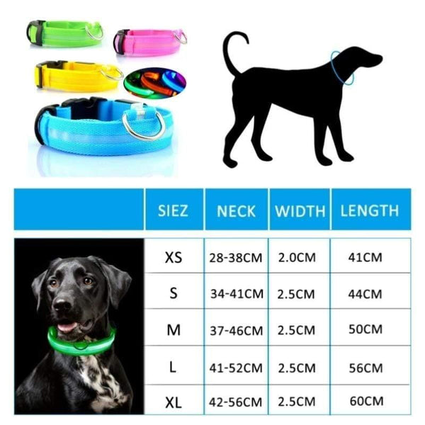 Planet Gates 200003720 Pet Collar LED Light Dog Collar Night Safety Anti-lost Car Accident Avoid Flash Pet Necklace Black Collar Cat And Dog Luminous
