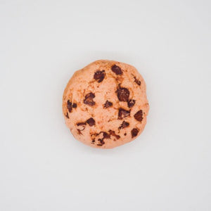 Planet Gates 200003723 Cookies Funny Squeaky Toys For Small Medium Dogs Puppy Bite Resistant Simulated Dog Toy Meat Seafood Ice Cream Series Pet Product