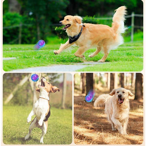 Planet Gates 200003723 Pet Dog Puppy Squeaky Chew Toy Sound Pure Natural Non-toxic Rubber Outdoor Play Small Big Dog Funny Ball