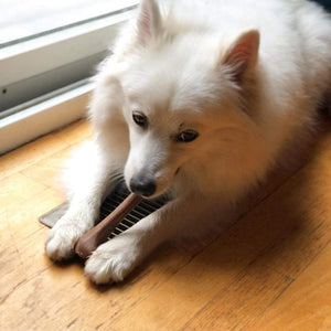 Planet Gates 200003723 Pet Products Dog Toy Dog Bone Toy Beef/bacon Fragrant Pet Chew Toy New Toys For Dogs Pet Dog Interactive Toy Dog Dog Supplies