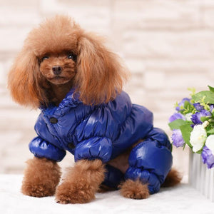 Planet Gates 200003735 blue / XS Dog Clothes Winter French Bulldog Dog Clothes For Small Dog Cotton Padded Warm Outfit  Coat Jacket  For Chihuahua Pet Clothes