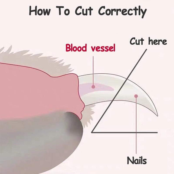 Planet Gates 200003741 Professional Pet Dog Cat Nail Clipper Trimmer Stainless Steel Nail Clippers Cutter Scissors For Dogs Cats Animals Pet Grooming